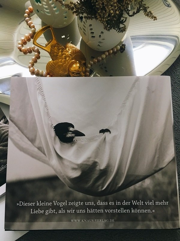 Penguin Bloom von Cameron Bloom und Bradley Trevor Greive ist eine Liebeserklärung an das Leben