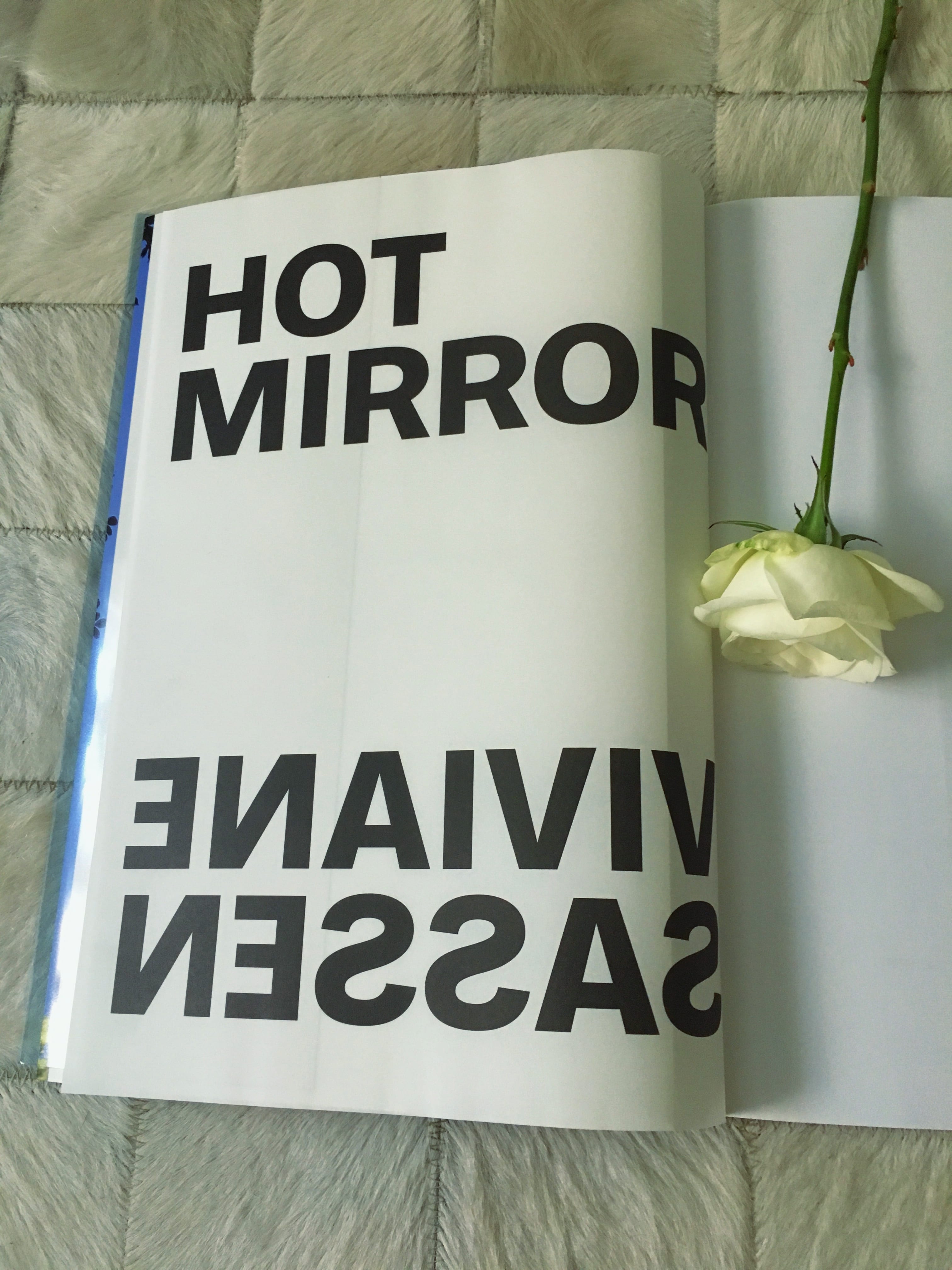 Hot Mirror von Viviane Sassen verbindet Fotokunst mit Gedichten.Sie ist eine der meistgefragten Fotokünstlerinnen ihrer Generation, die ich hier näher zeige