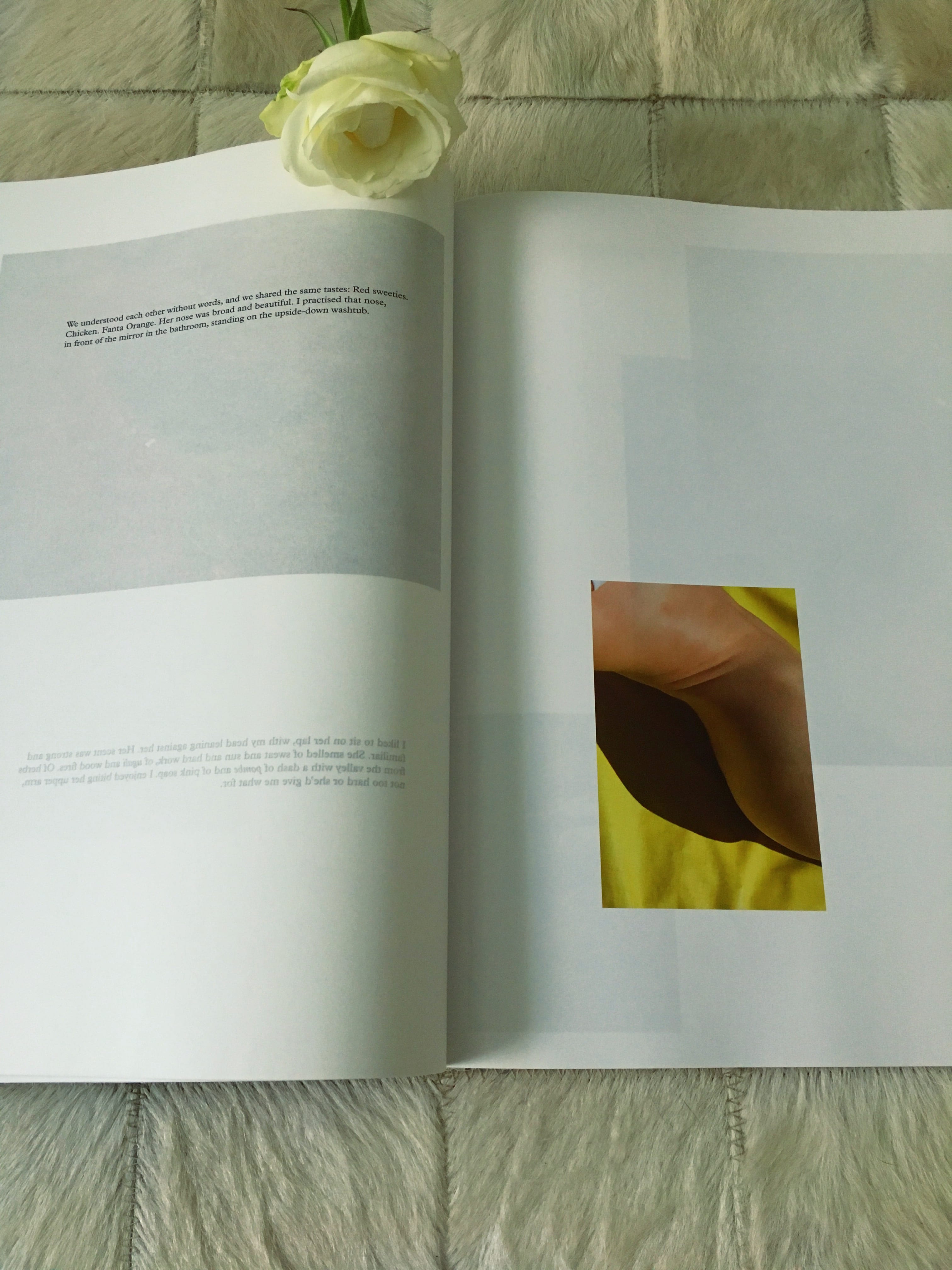 Hot Mirror von Viviane Sassen verbindet Fotokunst mit Gedichten.Sie ist eine der meistgefragten Fotokünstlerinnen ihrer Generation, die ich hier näher zeige
