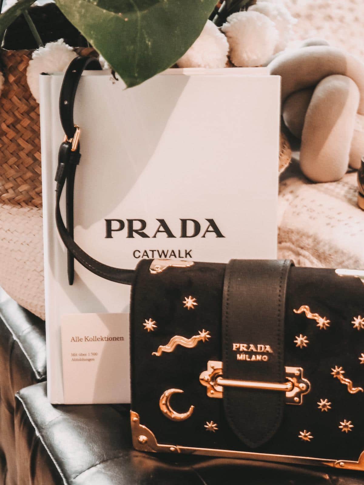 Ich war sehr begeistert das Buch Prada Catwalk in meinen Händen zu halten, das am 04.11.2019 im Prestel Verlag erschien. Mehr dazu auf dem Fashion Blog !!!