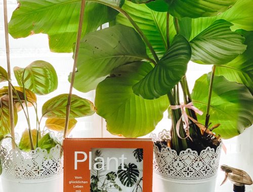 Plant Tribe - Vom glücklichen Leben mit Pflanzen
